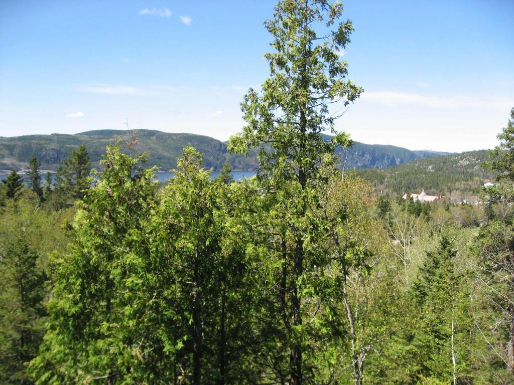 Chalet De La Montagne Villa Tadoussac Exteriör bild